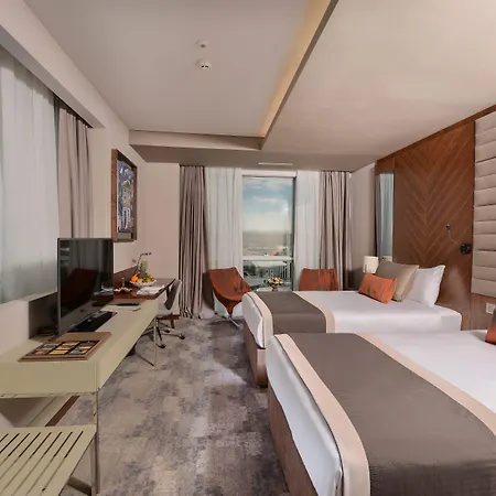 Hotel Alegria Business Ankara