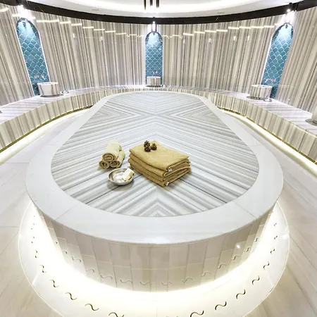 Alegria Business 5* Ankara