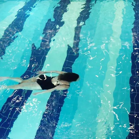 Otel Alegria Business