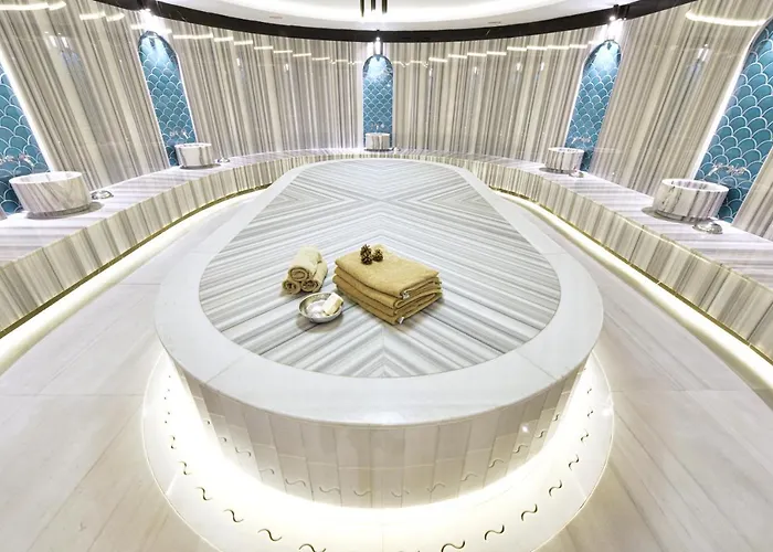 Alegria Business 5* Ankara