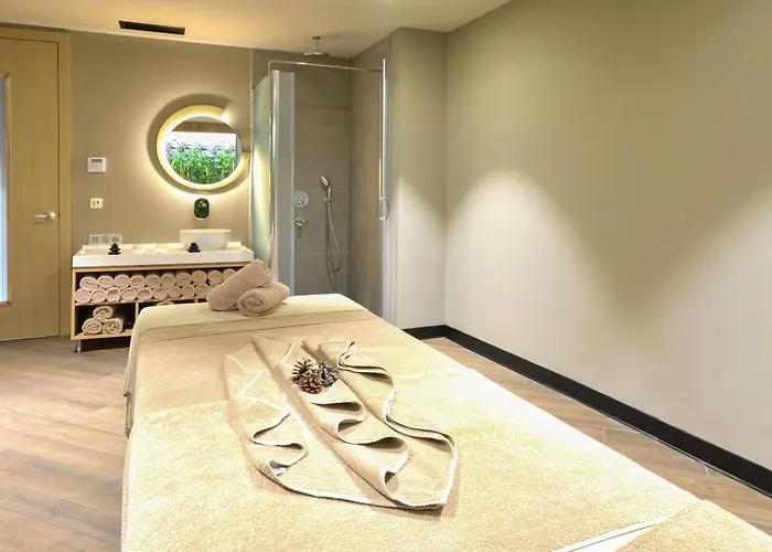 Alegria Business 5* Ankara