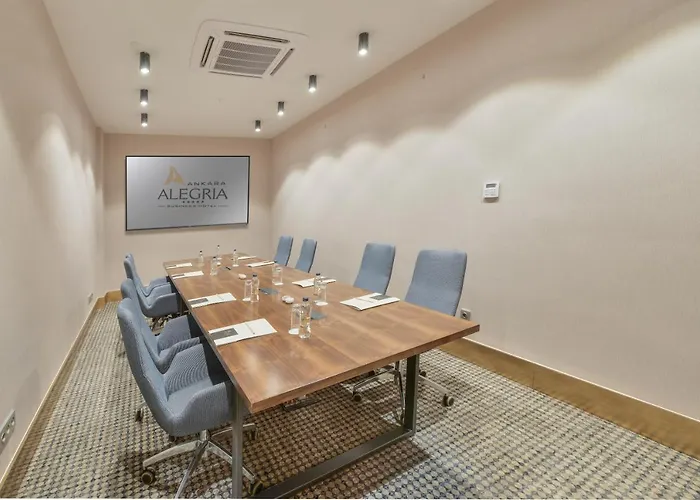 Alegria Business 5* Ankara