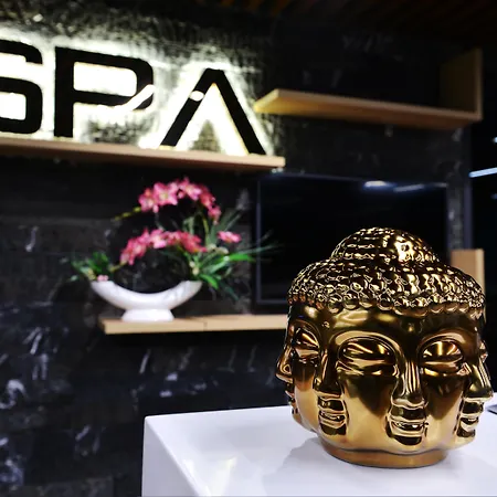 호텔 Alegria Business