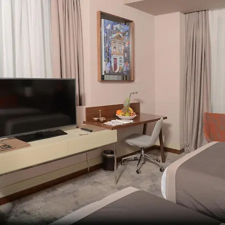 호텔 Alegria Business 앙카라