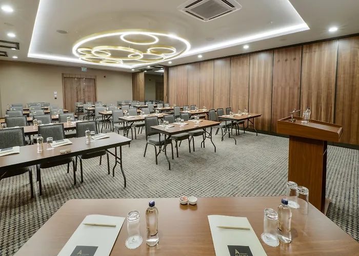 Alegria Business 5* Ankara